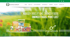 Desktop Screenshot of ominco.com